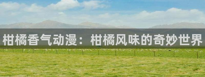 omofun人气动漫推荐：柑橘香气动漫：柑橘风味的奇妙世界配图