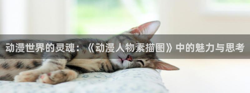 omofun动漫官网入口在线观看：动漫世界的灵魂：《动漫人物素描图》中的魅力与思考配图