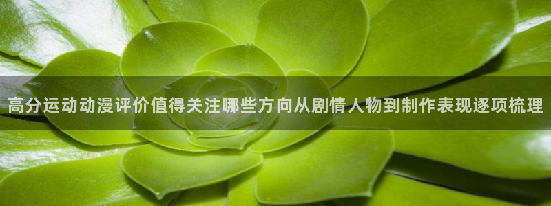 omofun手机网站:高分运动动漫评价值得关注哪些方向从剧情人物到制作表现逐项梳理配图