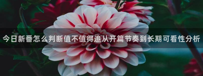 omofun手机动漫在线观看:今日新番怎么判断值不值得追从开篇节奏到长期可看性分析配图