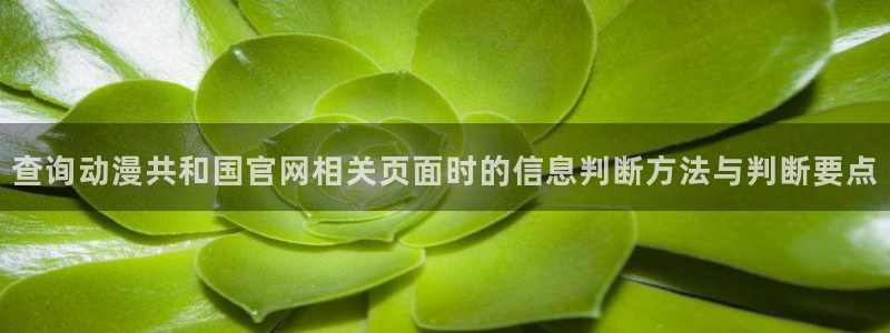 omofun动漫推荐排行:查询动漫共和国官网相关页面时的信息判断方法与判断要点配图